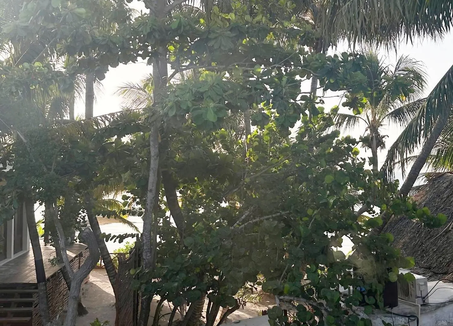 Holiday home Casa Bacelis Villa Isla Holbox